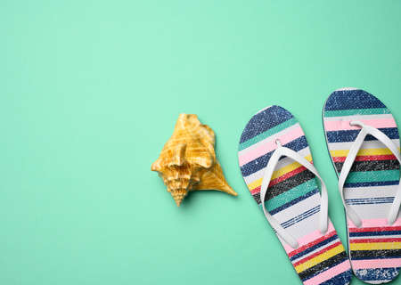 women's multicolored slippers and seashell on green background, top view