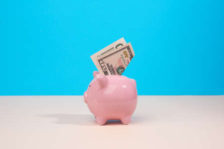 pink ceramic piggy bank with paper us dollars on a blue background. Money saving concept, keeping...