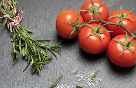 red tomatoes and fresh sprig of rosemary with green leaves on a black background, close up