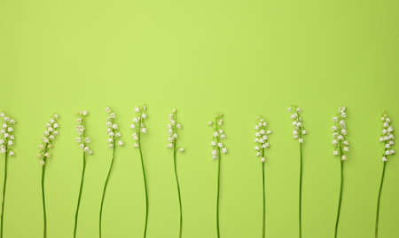 bouquet of blooming lilies of the valley on a green background, top view. Beautiful background for greeting card, copy spaceの写真素材
