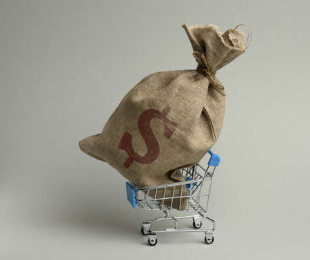 brown bag in a miniature little shopping cart on a gray background. Wealth, budget planning, expenses and income conceptの写真素材