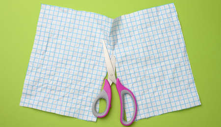 a sheet of white paper cut in half with scissors in a blue box on a green background, top view
