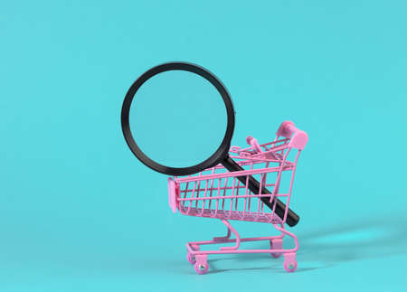 miniature metal pink trolley and black plastic magnifier on a light blue background. The concept of search and selection of purchases, savingsの写真素材