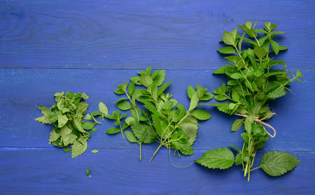 bunch of green mint on a blue wooden background, fragrant spice for cocktails and desserts, top viewの写真素材