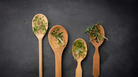 green sprouts of chia, arugula and mustard in a wooden spoon on a black background, top view. A healthy food supplement containing vitamins C, E and Kの写真素材