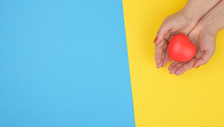 female hands holds red heart, blue background. Love and donation concept, copy spaceの写真素材
