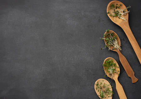 green sprouts of chia, arugula and mustard in a wooden spoon on a black background, top view. A healthy food supplement containing vitamins C, E and K, copy spaceの写真素材