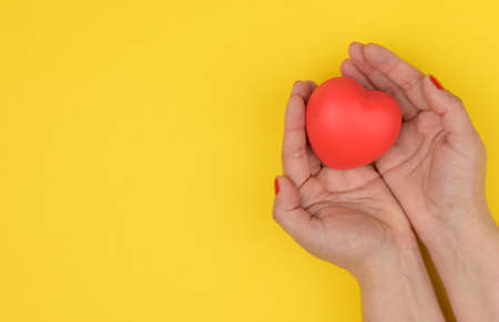female hands holds red heart, yellow background. Love and donation concept, copy spaceの写真素材