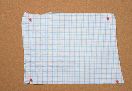 blank torn crumpled white squared sheet of paper pinned to brown cork board