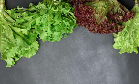bunches of green lettuce leaves on black background, top view, copy space
