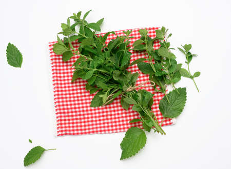 tied stalks of fresh mint in a bunch on white background, green leaves, top viewの写真素材