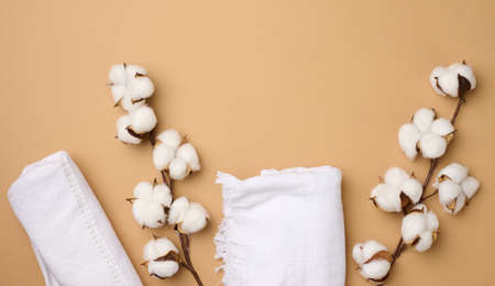 folded white cotton terry towel and sprigs of cotton flower on a light brown background, top viewの写真素材