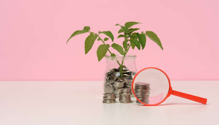 red magnifier and white coins in a glass jar and on the table, sprout with green leaves. Income growth concept, high percentage of investmentの写真素材