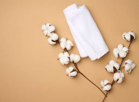 folded white cotton terry towel and sprigs of cotton flower on a light brown background, top viewの写真素材