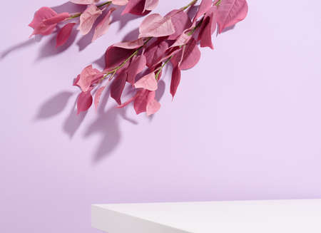 Cosmetics product advertising stand with purple leaves. Concept scene stage showcase for product, promotion, sale, presentation of cosmetic products. Minimal showcaseの写真素材