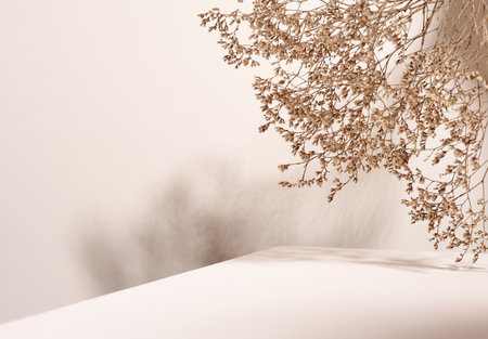 beige cosmetics product advertising stand with shadow. Concept scene stage showcase for product, promotion, sale, presentation of cosmetic products. Minimalの写真素材