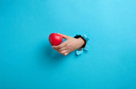female hand holding a red heart on a blue background. Part of the body sticks out of the torn paperの写真素材