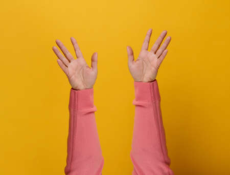 two female hands in a pink sweater are raised in the air, palms are open. Yellow backgroundの写真素材