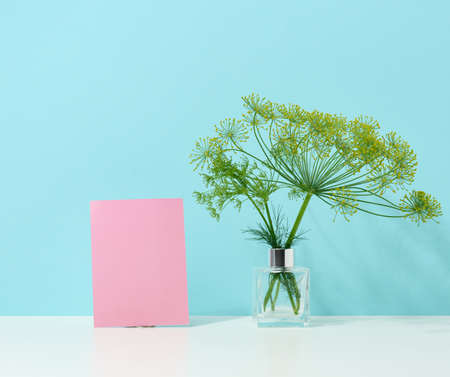 empty cardboard pink sheet of paper and glass vase with a bouquet of dill on a white table....