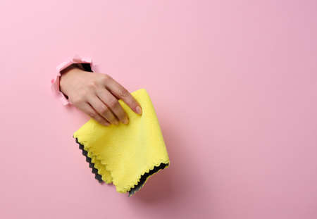 female hand sticking out of a torn hole in a pink paper background and holding a dry ragの写真素材