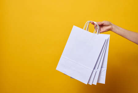 female hand holds a paper disposable bag with handles for groceries and clothes. Recyclable packaging. Zero wasteの写真素材