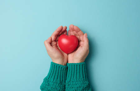 female hands holds red heart, blue background. Love and donation concept, copy space, top view