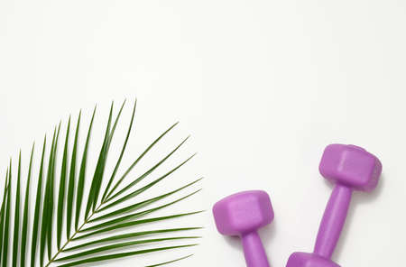 two purple plastic kilogram dumbbells on a white background, top view. Sports equipment, copy spaceの写真素材