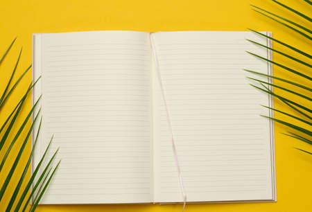 open notebook with blank white sheets on a yellow background, top view.の写真素材