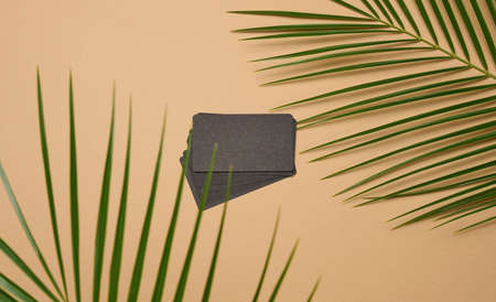 a stack of rectangular black paper business cards and a leaf of a palm tree on a brown background. View from aboveの写真素材