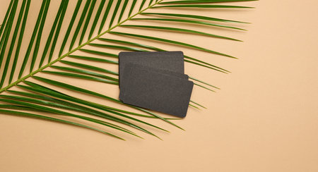 a stack of rectangular black paper business cards and a leaf of a palm tree on a brown background. View from aboveの写真素材