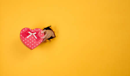 female hand holds a red box with a gift on a yellow background, part of the body sticks out of a...