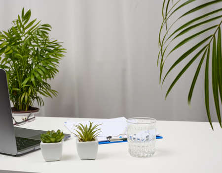 White table with laptop and pots with plants, freelance workplace