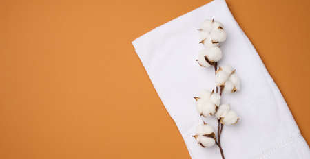 folded white cotton terry towel and sprigs of cotton flower on a orange background, top view, copy spaceの写真素材