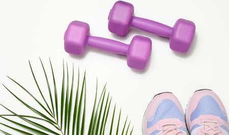 pair of pink sneakers and purple dumbbells on a white background, sportsの写真素材