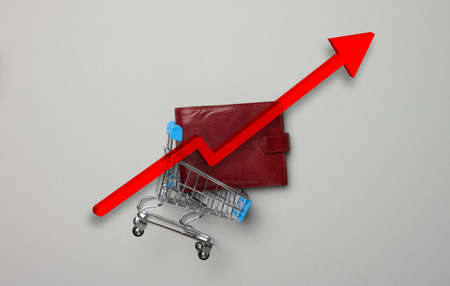A brown leather wallet lies in a miniature cart and a red arrow is up. The concept of a rise in the...