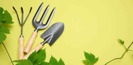 Garden tools for processing beds in the garden on a green background. copy spaceの写真素材