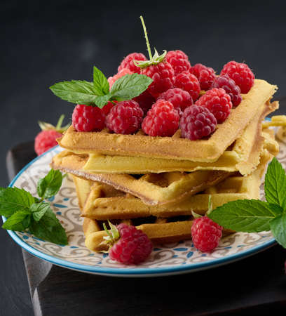 Stack of baked Belgian waffles with ripe red raspberry, green mint leavesの写真素材
