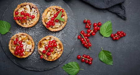 Fruit tart with red currants sprinkled with powdered sugar on a black table, delicious dessertの写真素材