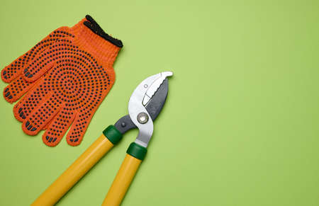 Large garden pruner for pruning branches on trees and orange textile gloves on a green paper...
