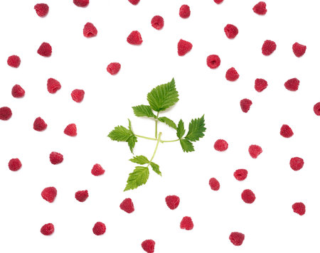 Red ripe raspberries and green leaves on a white background. View from above