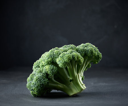 Fresh green head of broccoli on black backgroundの写真素材