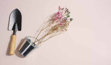 Garden shovel and metal bucket on beige background, top view. copy spaceの写真素材