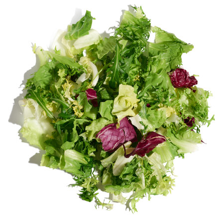 Mix of lettuce leaves escariole, frisee, radicchio, arugula on a white isolated background, dietary healthy food. View from aboveの写真素材