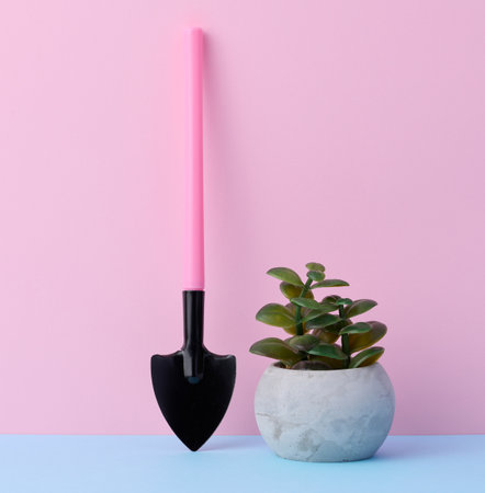 Miniature garden tools for transplanting plants, home hobbyの写真素材