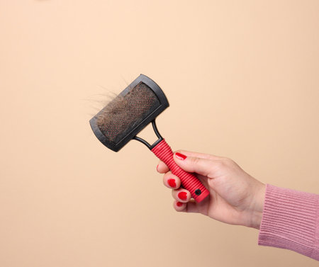 A woman's hand holds a brush for combing animal hair on a beige backgroundの写真素材