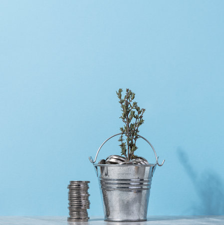 Coins in a small bucket and a plant, income growth conceptの写真素材