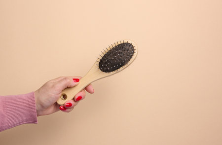 A woman's hand holds a brush for combing animal hair on a beige backgroundの写真素材