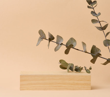 Wooden podium and eucalyptus branch on a beige background, a place for displaying and advertising productsの写真素材