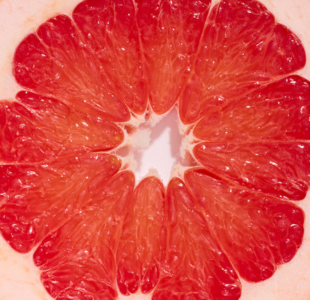 Round piece of grapefruit on a white isolated background, top viewの写真素材