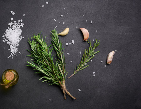 Scattered coarse white salt, peppercorns and rosemary sprigs on a black table, ingredients for cooking fish and meatの写真素材